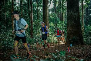 BIB: 
                            <button type="button" onclick="openModal(26128887)" class="btn btn-primary btn-sm float-right btn-popup" data-toggle="modal" data-target=".modal-high-quality">
                        <i class="fas fa-shopping-cart"></i> Add to Cart
                    </button>
                                            <button type="button" onclick="isThisMe(26128887, true)" class="btn btn-success btn-sm float-right btn-popup btn-isme hidden" data-toggle="tooltip" data-placement="bottom" title="นี่คือรูปของคุณใช่ไหม คลิกที่นี่เพื่อเอาเข้าอัลบั้ม">
                        <i class="fas fa-plus"></i> Add to album
                    </button>
                    <button type="button" onclick="isThisMe(26128887, false)" class="btn btn-warning btn-sm float-right btn-popup btn-isnotme hidden">
                        <i class="fas fa-ban"></i> Remove from album
                    </button>